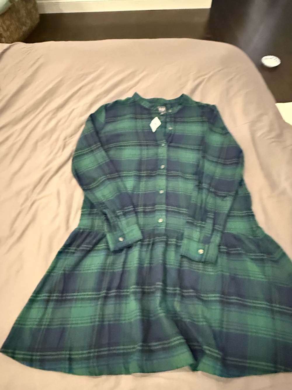 GAP Green and Navy Plaid Button-Front Dress